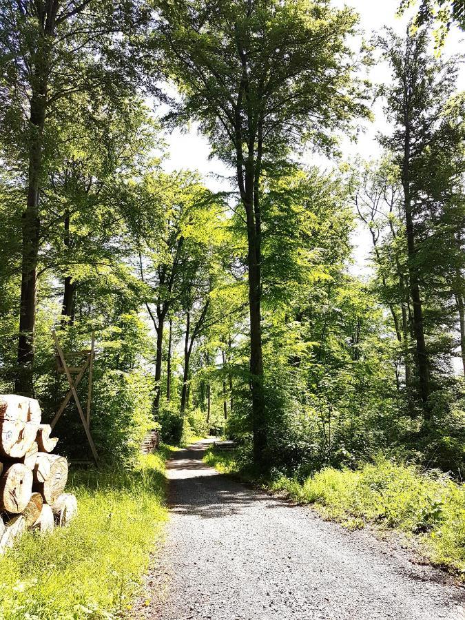 Steewer Landhaus Gemuetliche Ferienwohnung Bis 6 Pers In Ruhiger Ortsrandlage Stebach エクステリア 写真