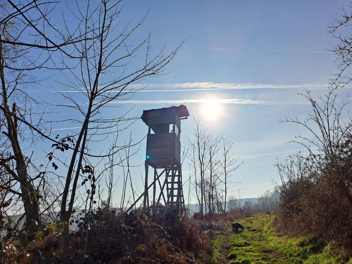 Steewer Landhaus Gemuetliche Ferienwohnung Bis 6 Pers In Ruhiger Ortsrandlage Stebach エクステリア 写真