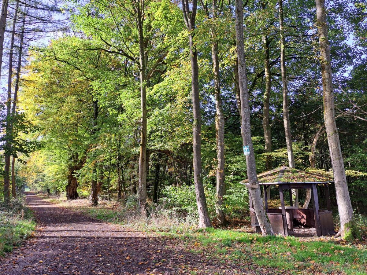 Steewer Landhaus Gemuetliche Ferienwohnung Bis 6 Pers In Ruhiger Ortsrandlage Stebach エクステリア 写真