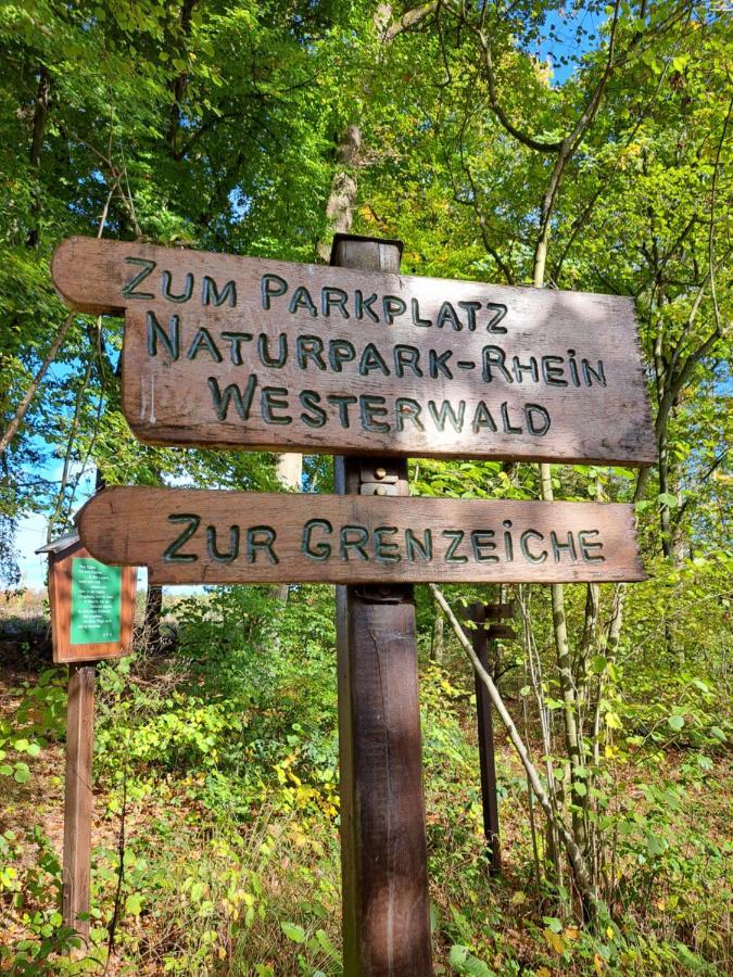 Steewer Landhaus Gemuetliche Ferienwohnung Bis 6 Pers In Ruhiger Ortsrandlage Stebach エクステリア 写真
