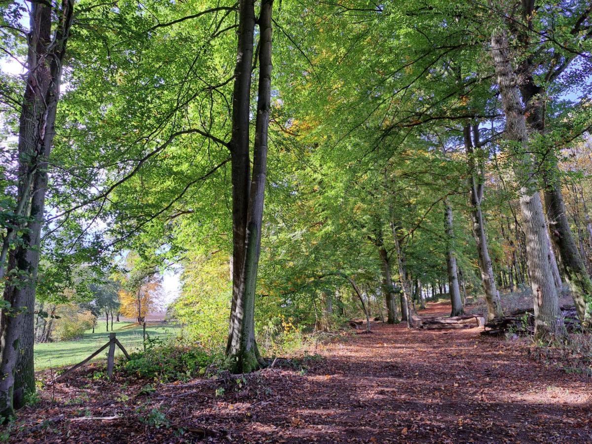 Steewer Landhaus Gemuetliche Ferienwohnung Bis 6 Pers In Ruhiger Ortsrandlage Stebach エクステリア 写真