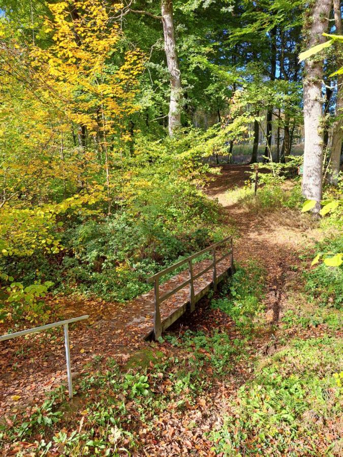 Steewer Landhaus Gemuetliche Ferienwohnung Bis 6 Pers In Ruhiger Ortsrandlage Stebach エクステリア 写真